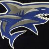 Teddy Budget Sharks Valence – Image 4